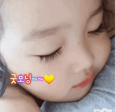damoang-meme-023.gif